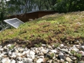 Extenzivní zelená střecha v Otevřené zahradě